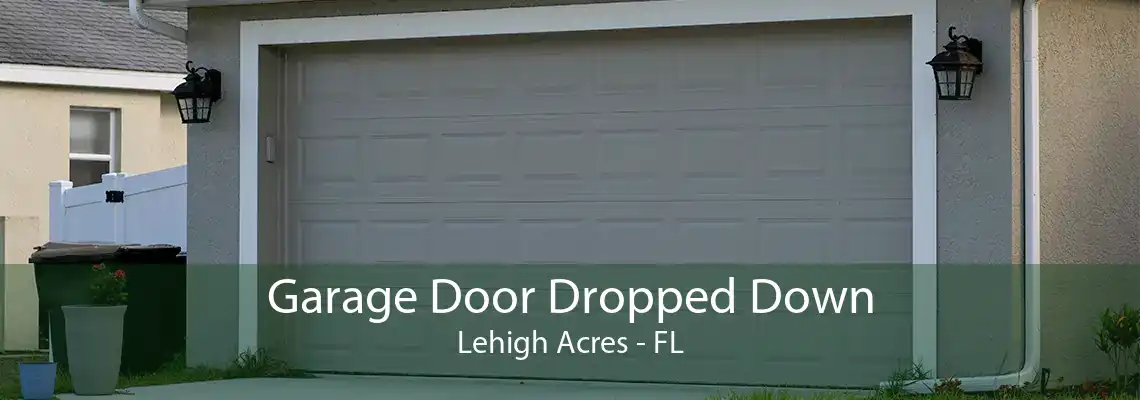 Garage Door Dropped Down Lehigh Acres - FL