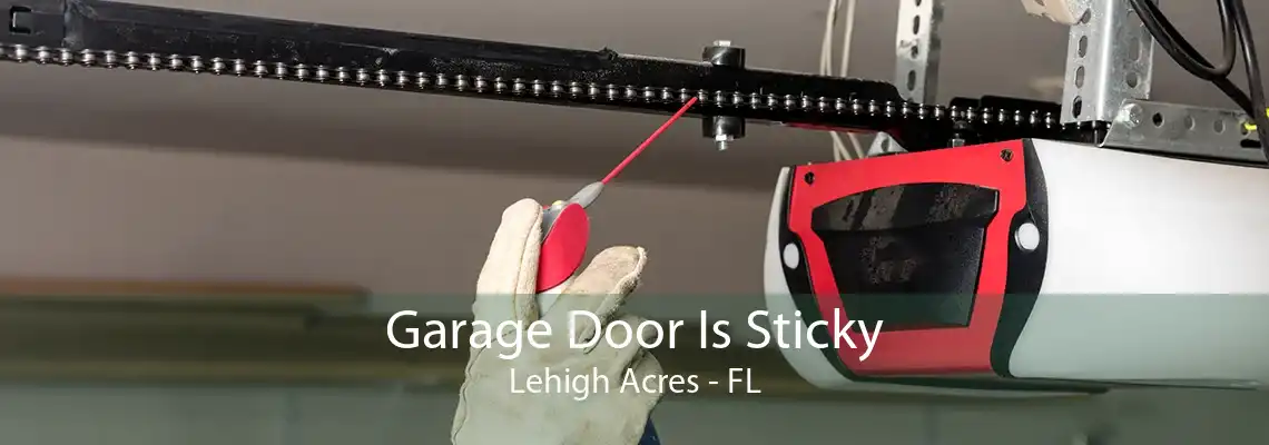 Garage Door Is Sticky Lehigh Acres - FL