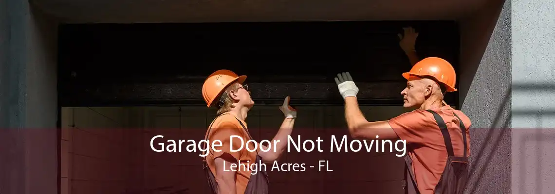 Garage Door Not Moving Lehigh Acres - FL