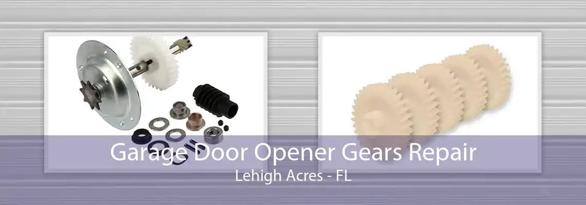 Garage Door Opener Gears Repair Lehigh Acres - FL