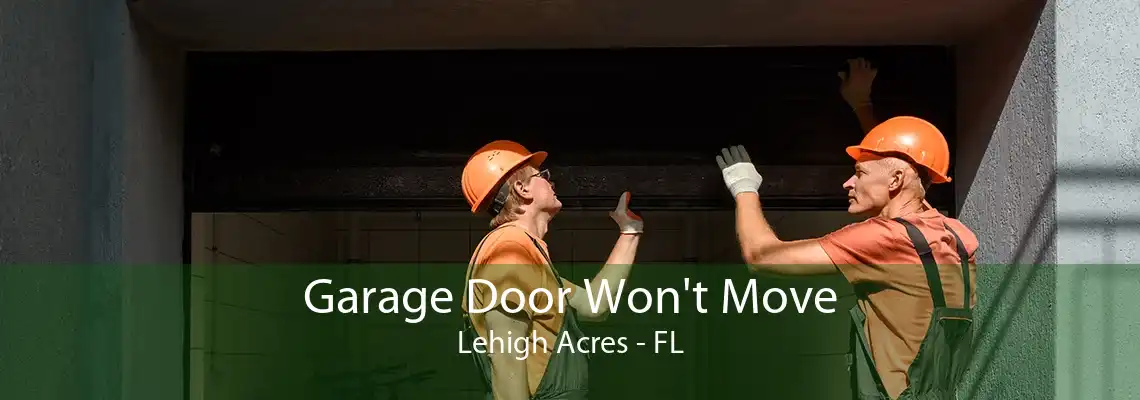 Garage Door Won't Move Lehigh Acres - FL